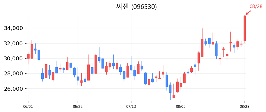 씨젠 캔들차트
